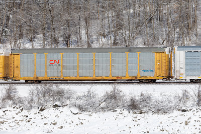 TTGX 702387