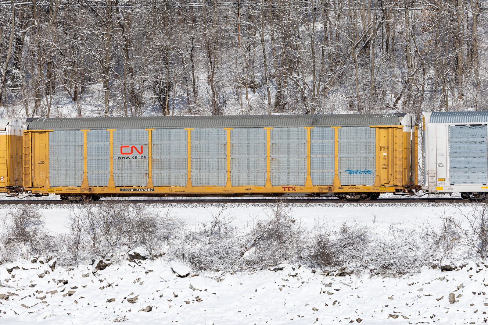 TTGX 702387