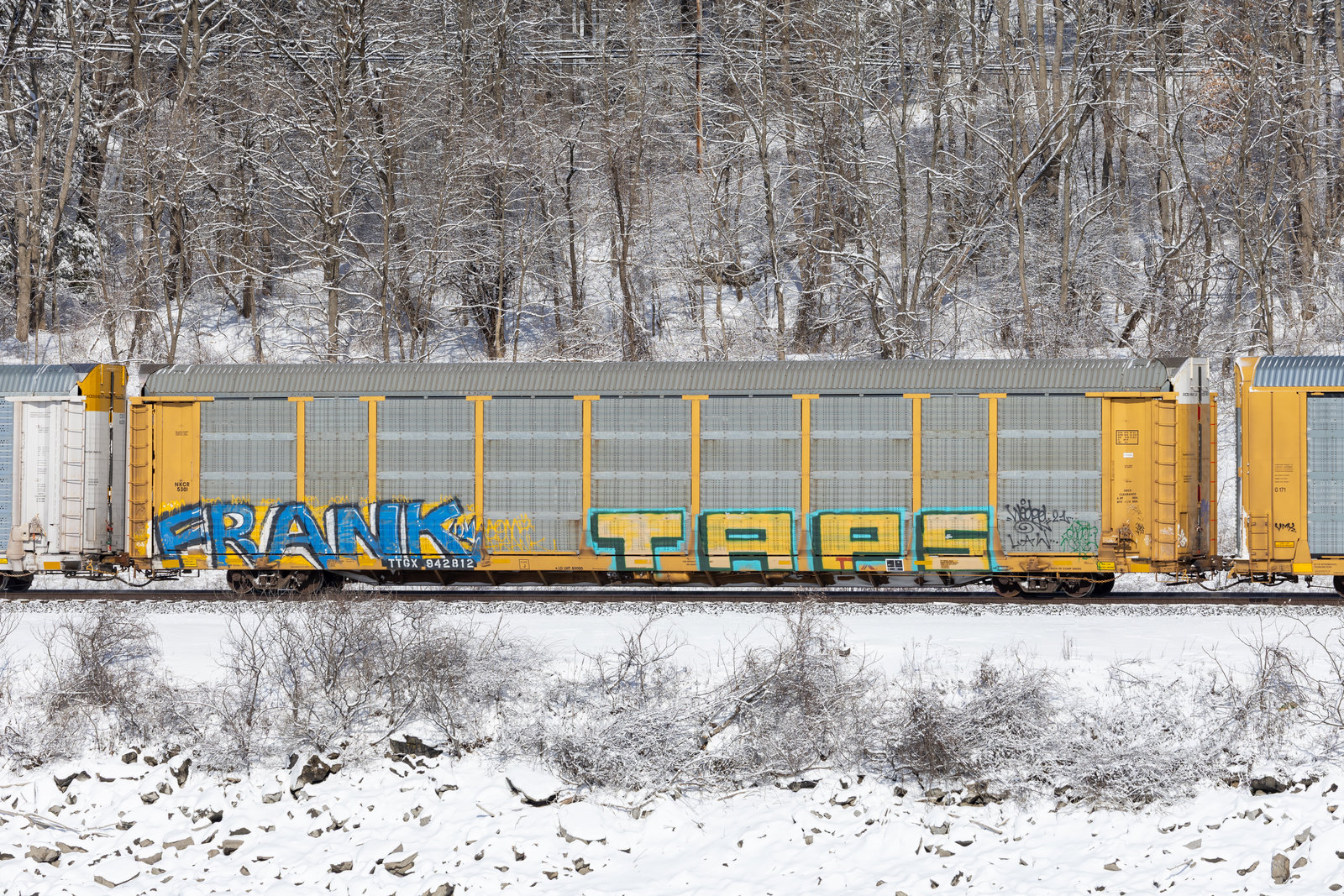 TTGX 942812