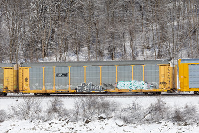 TTGX 704351