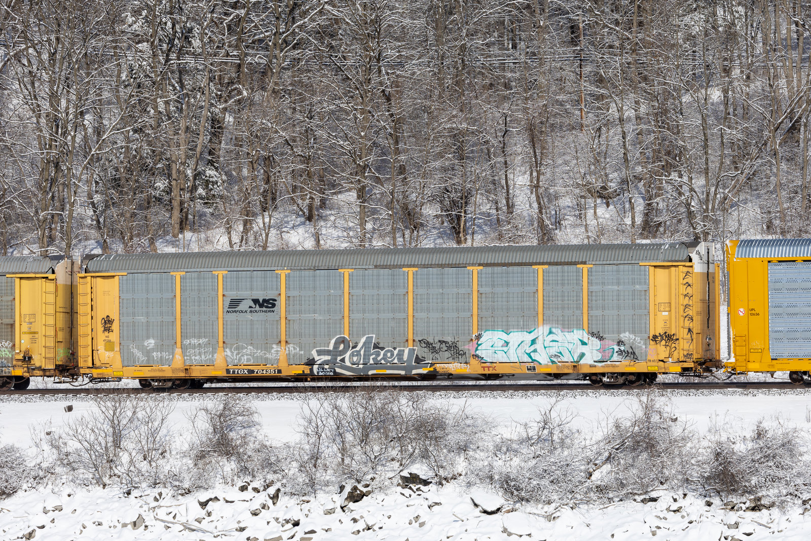 TTGX 704351