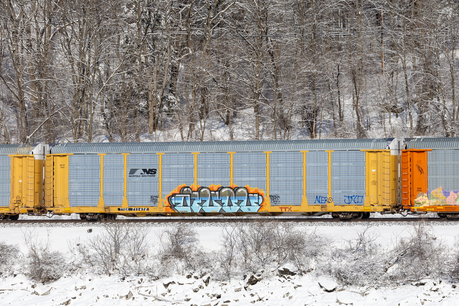 TTGX 711472