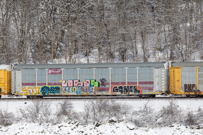 TTGX 705414