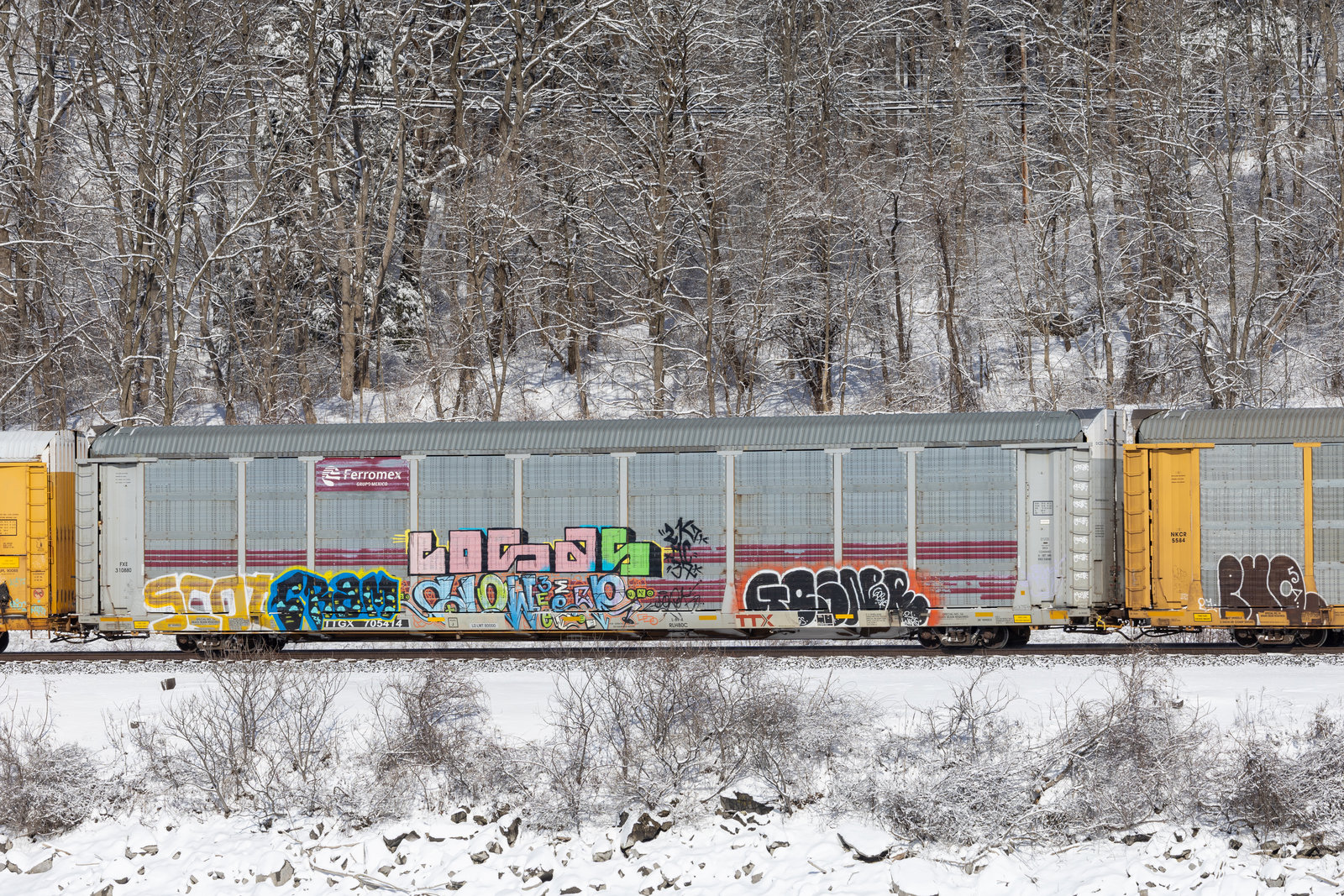 TTGX 705414