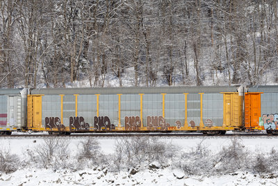 TTGX 702383
