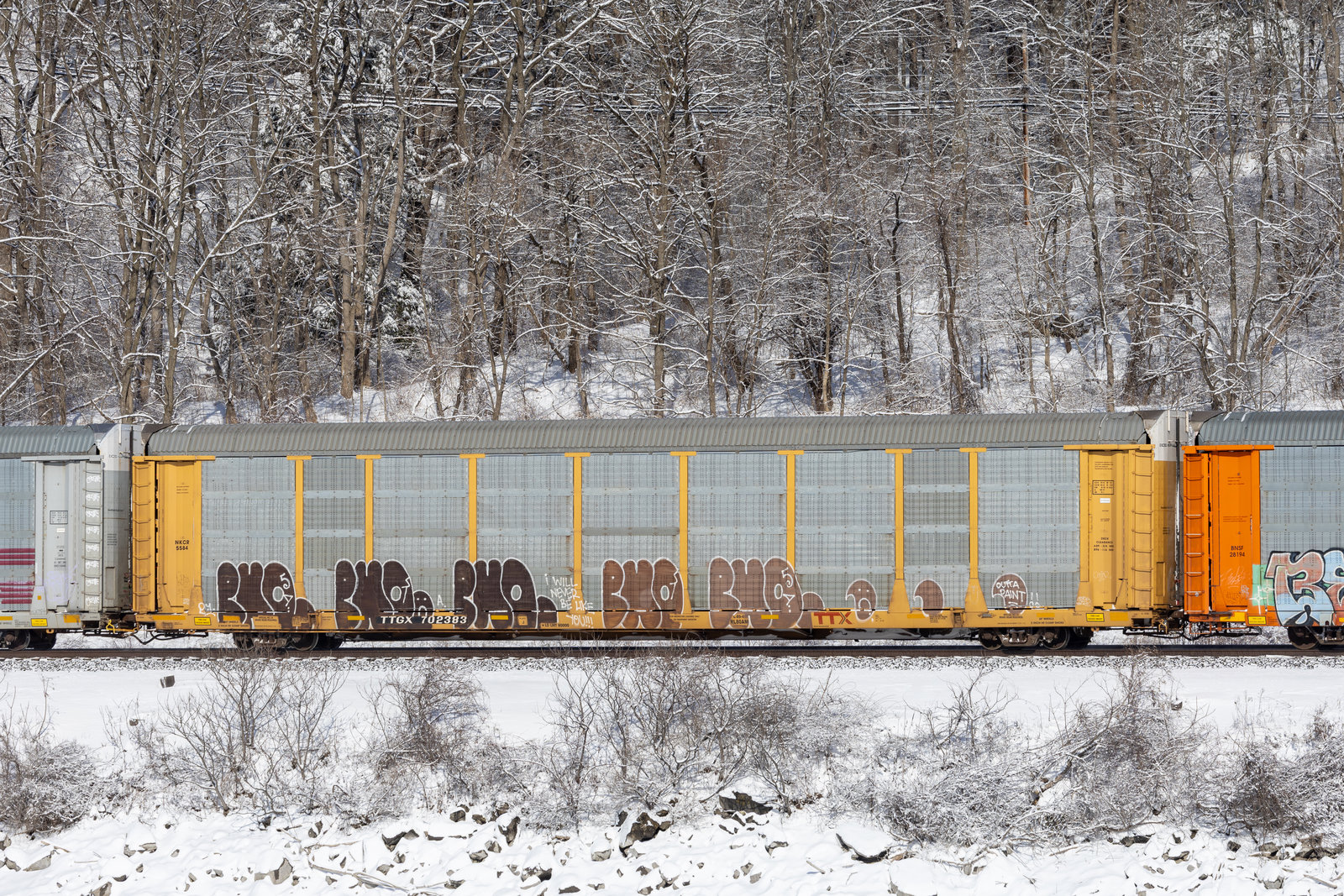 TTGX 702383