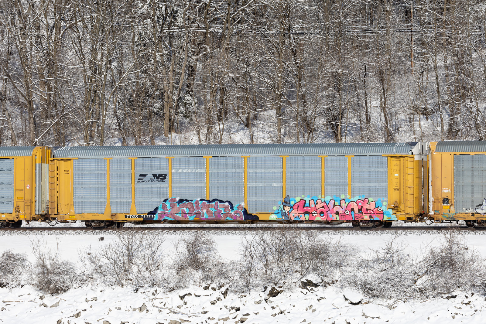 TTGX 711715