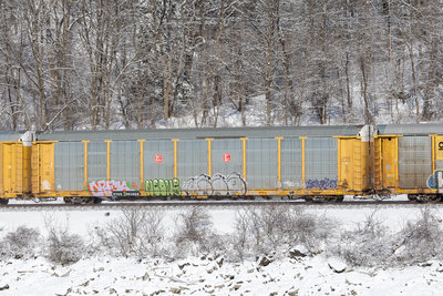TTGX 991888