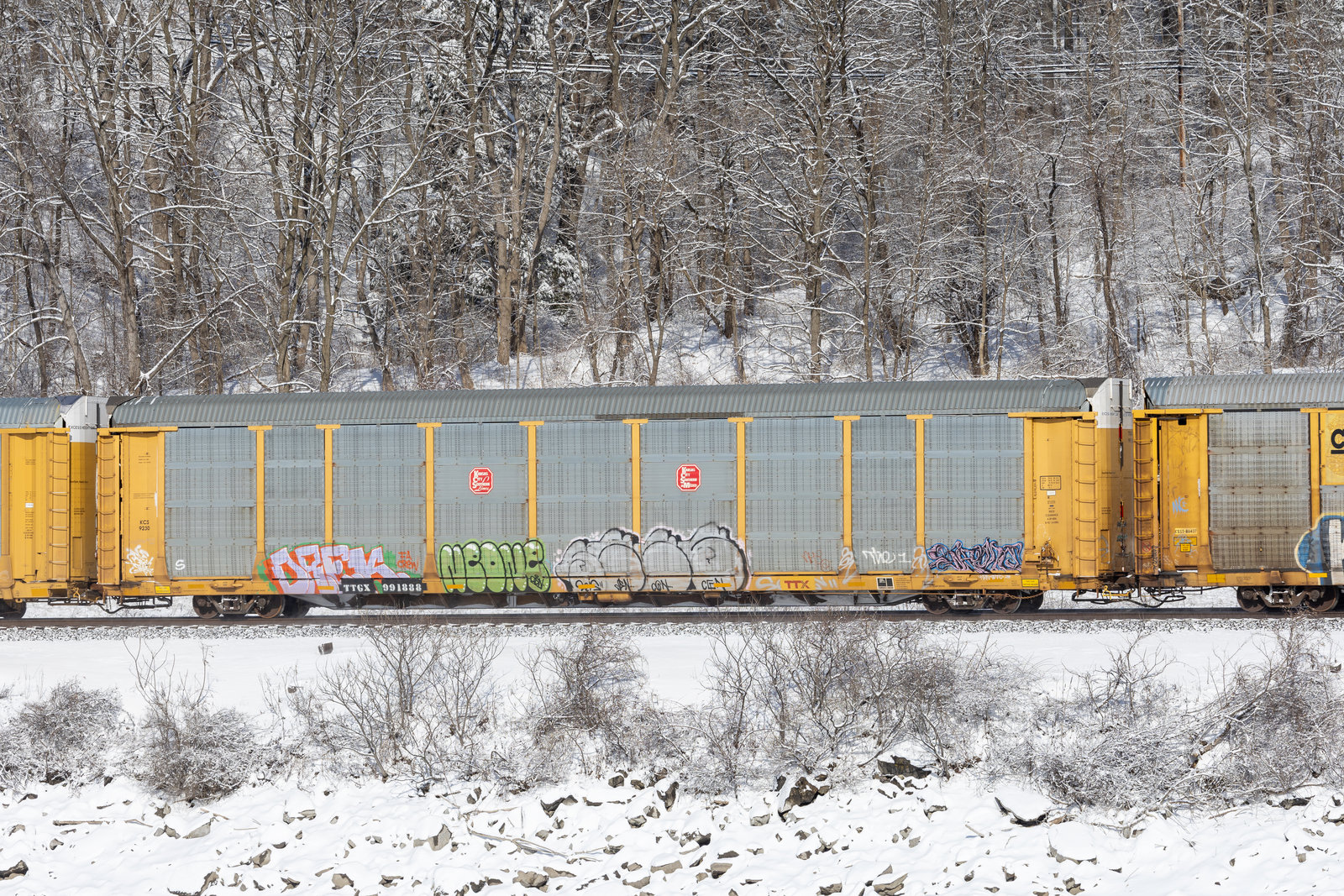 TTGX 991888