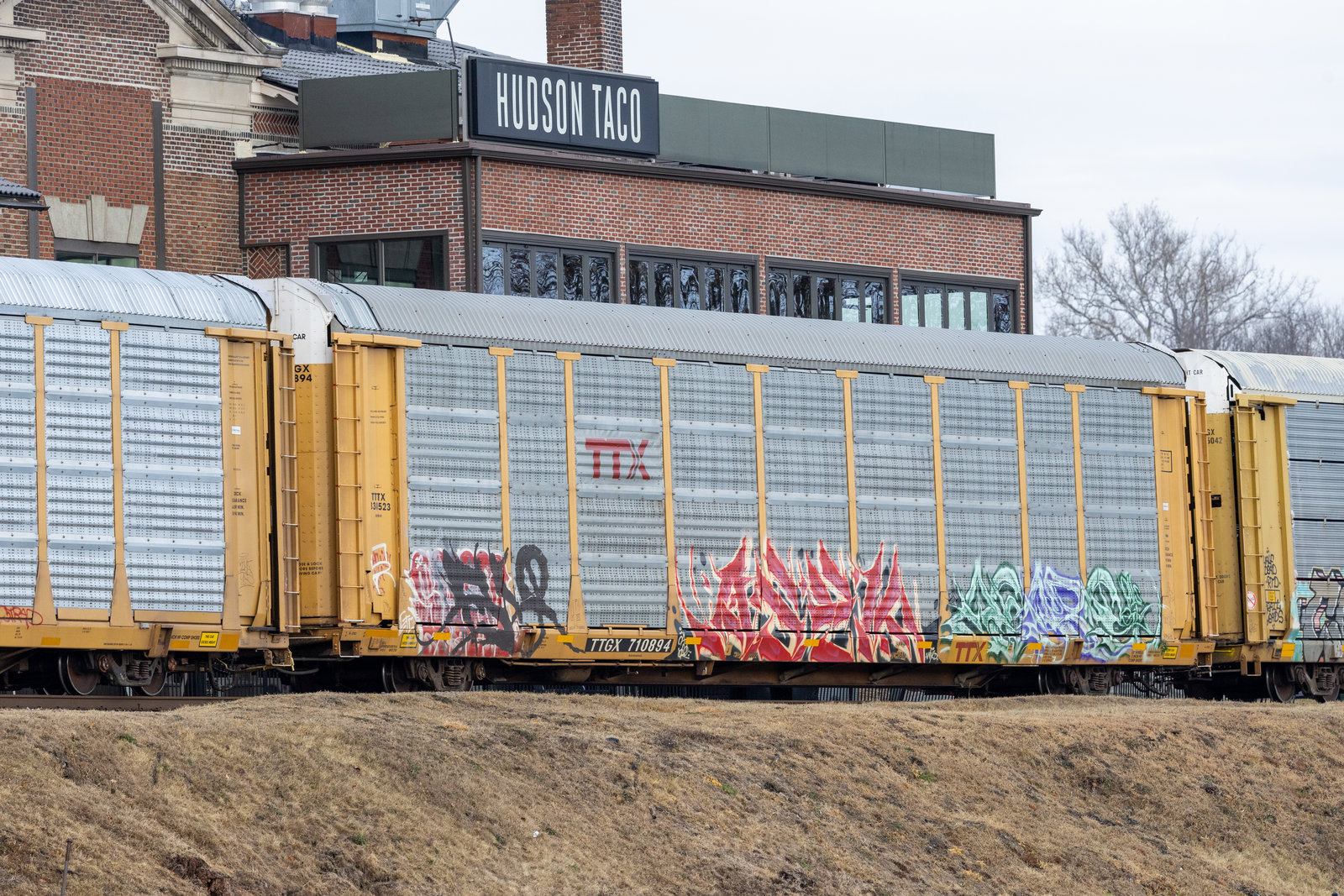 TTGX 710894