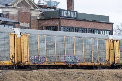 TTGX 254502