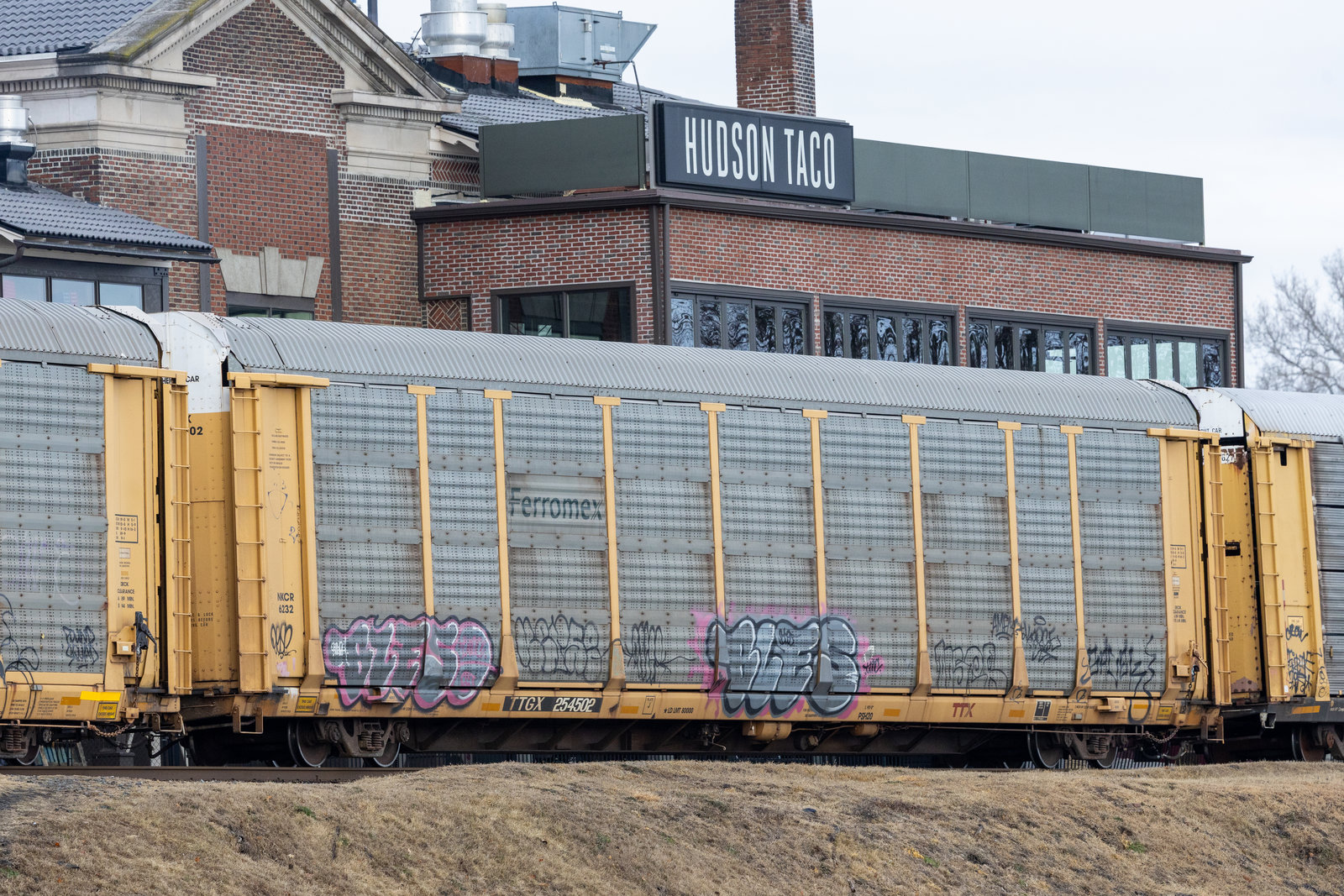 TTGX 254502