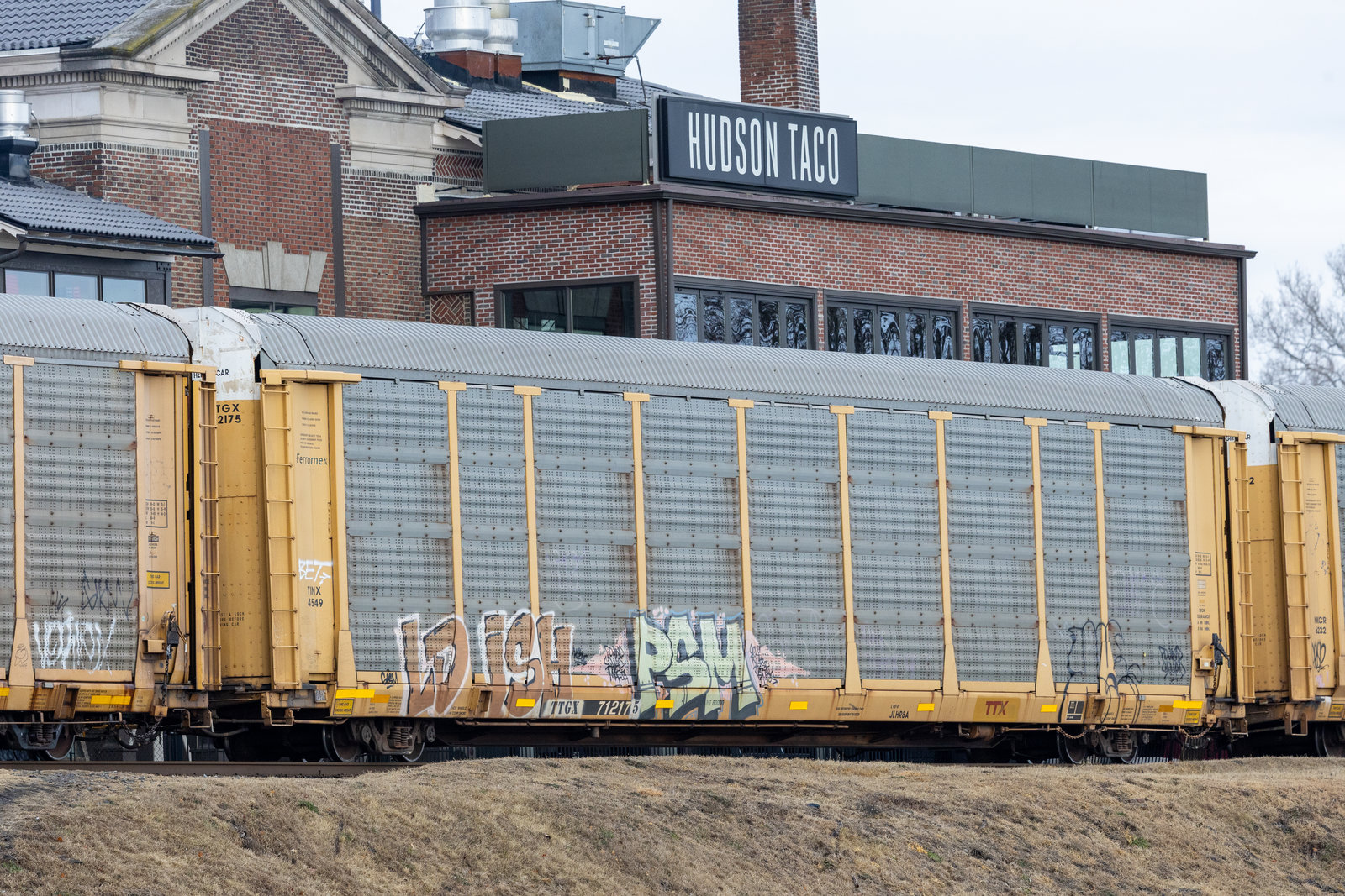 TTGX 712175