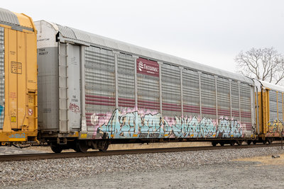 TTGX 953617