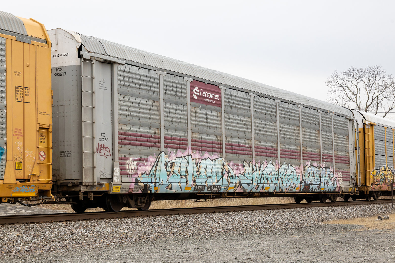 TTGX 953617