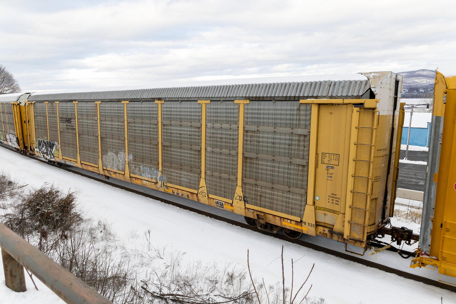 TTGX 985806