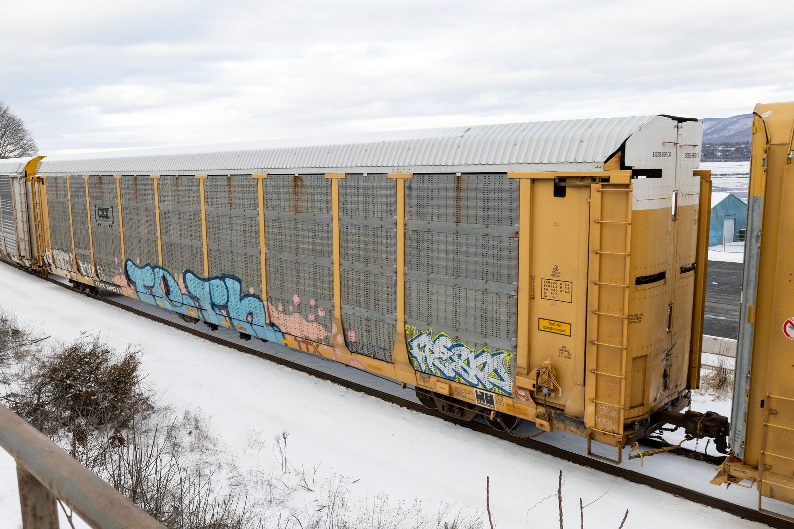 TTGX 159974