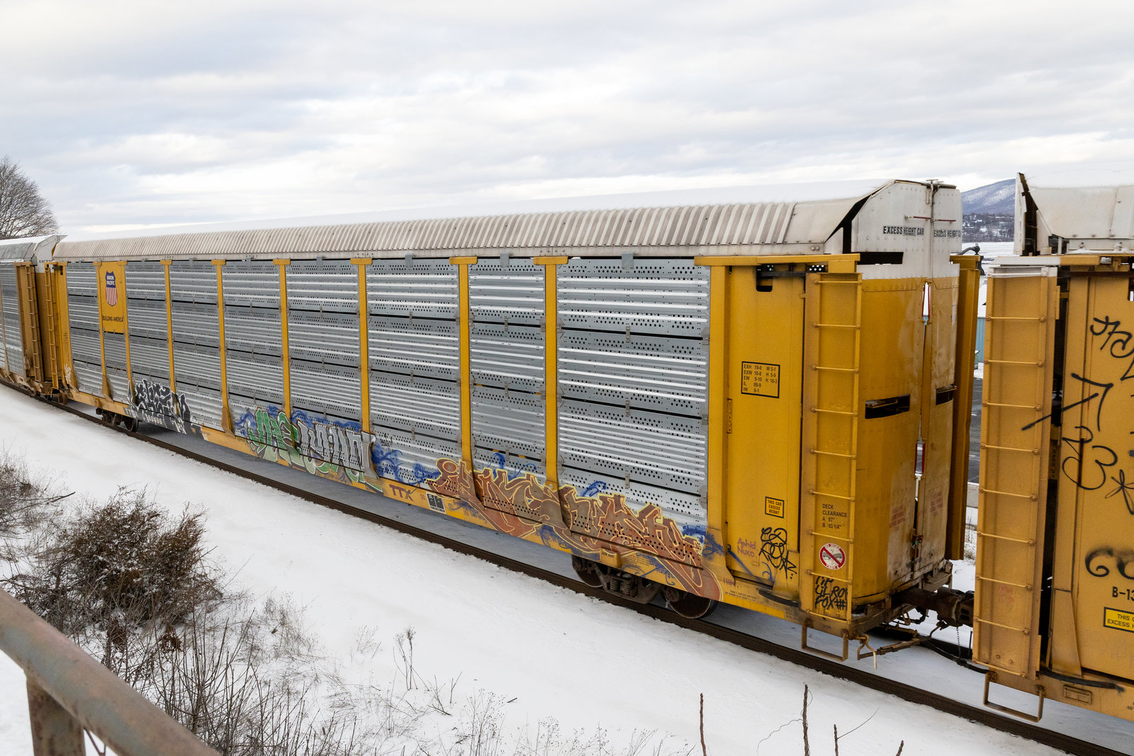 TTGX 160496