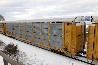 TTGX 254158