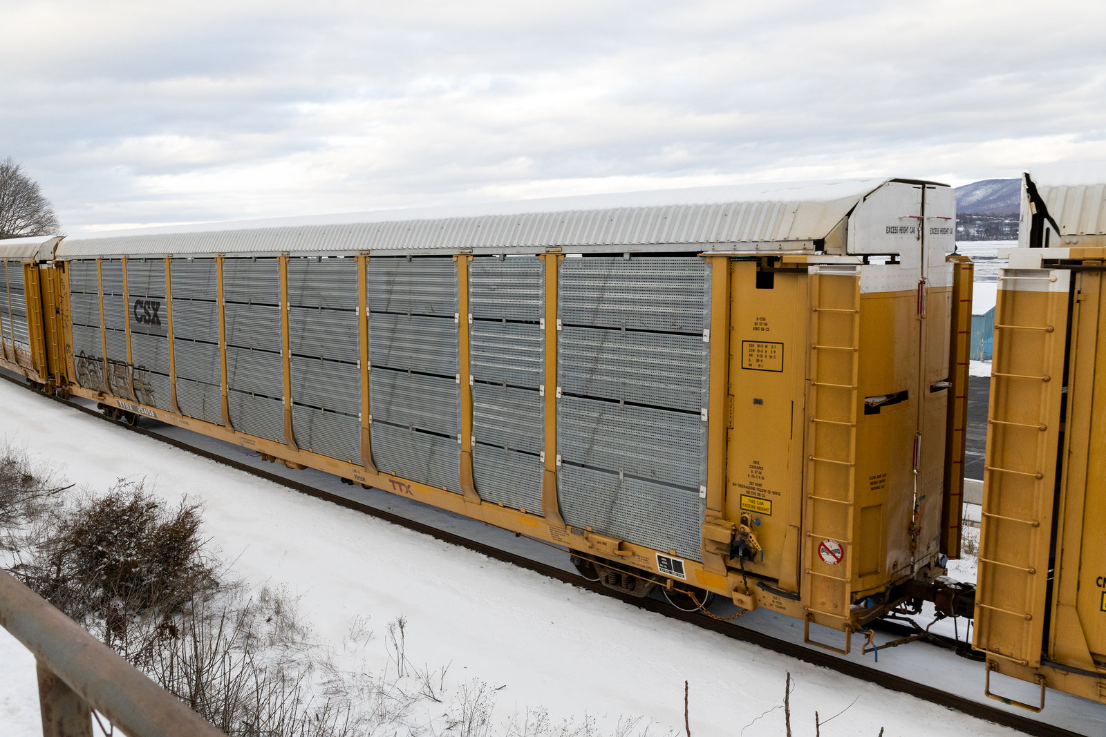 TTGX 254158