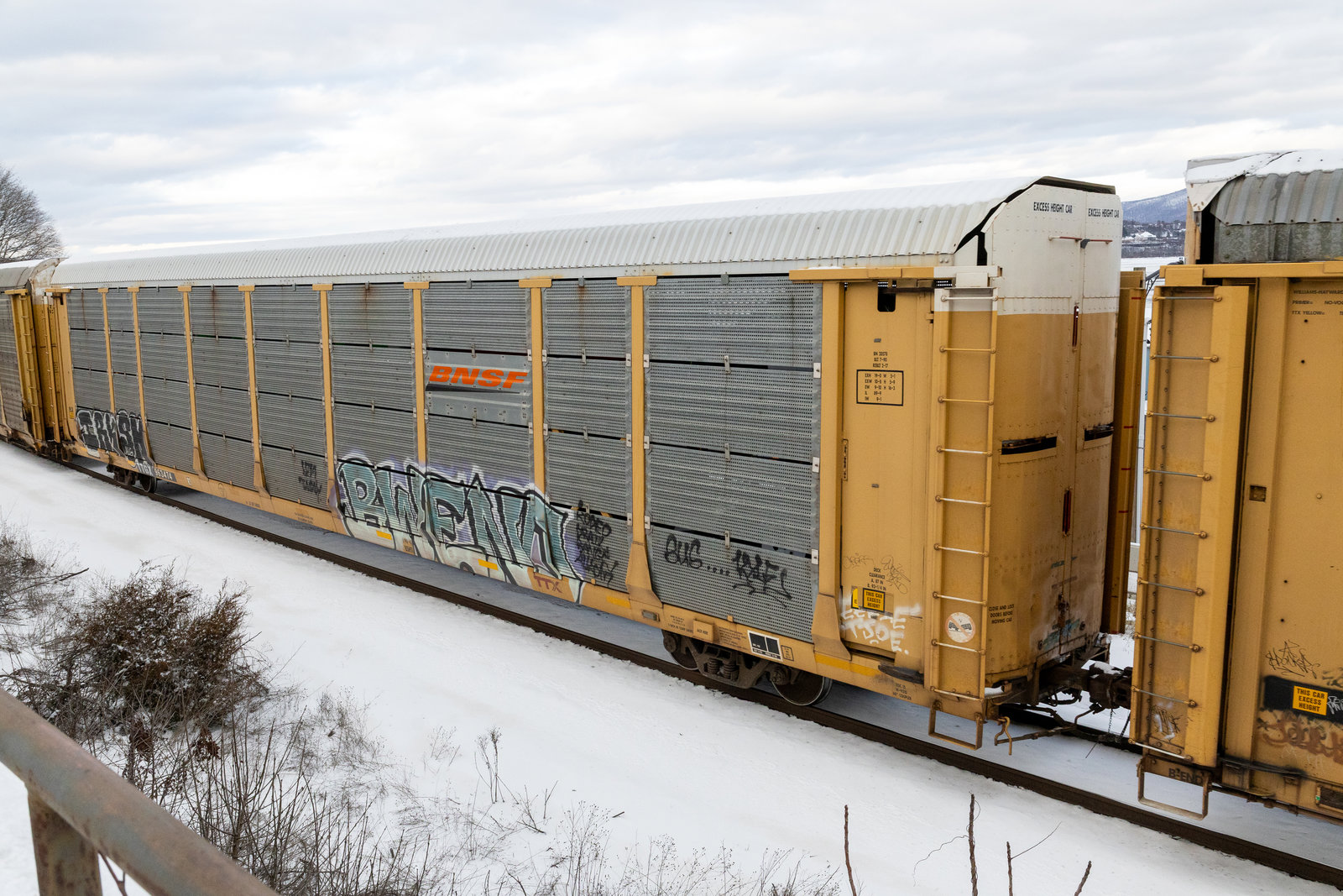 TTGX 963474
