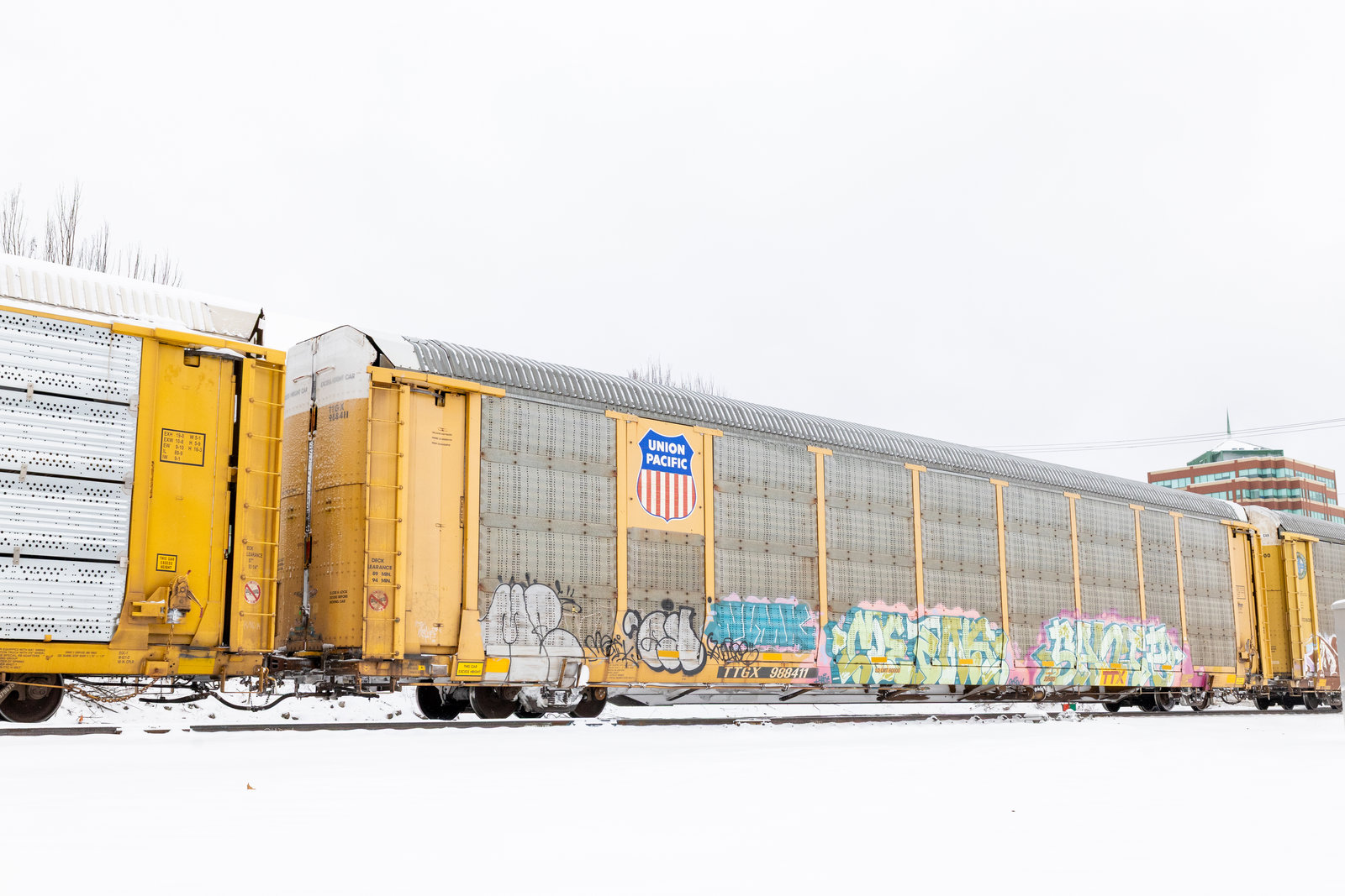 TTGX 988411