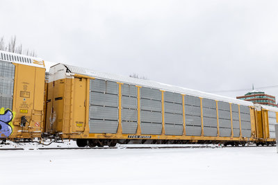 TTGX 973566