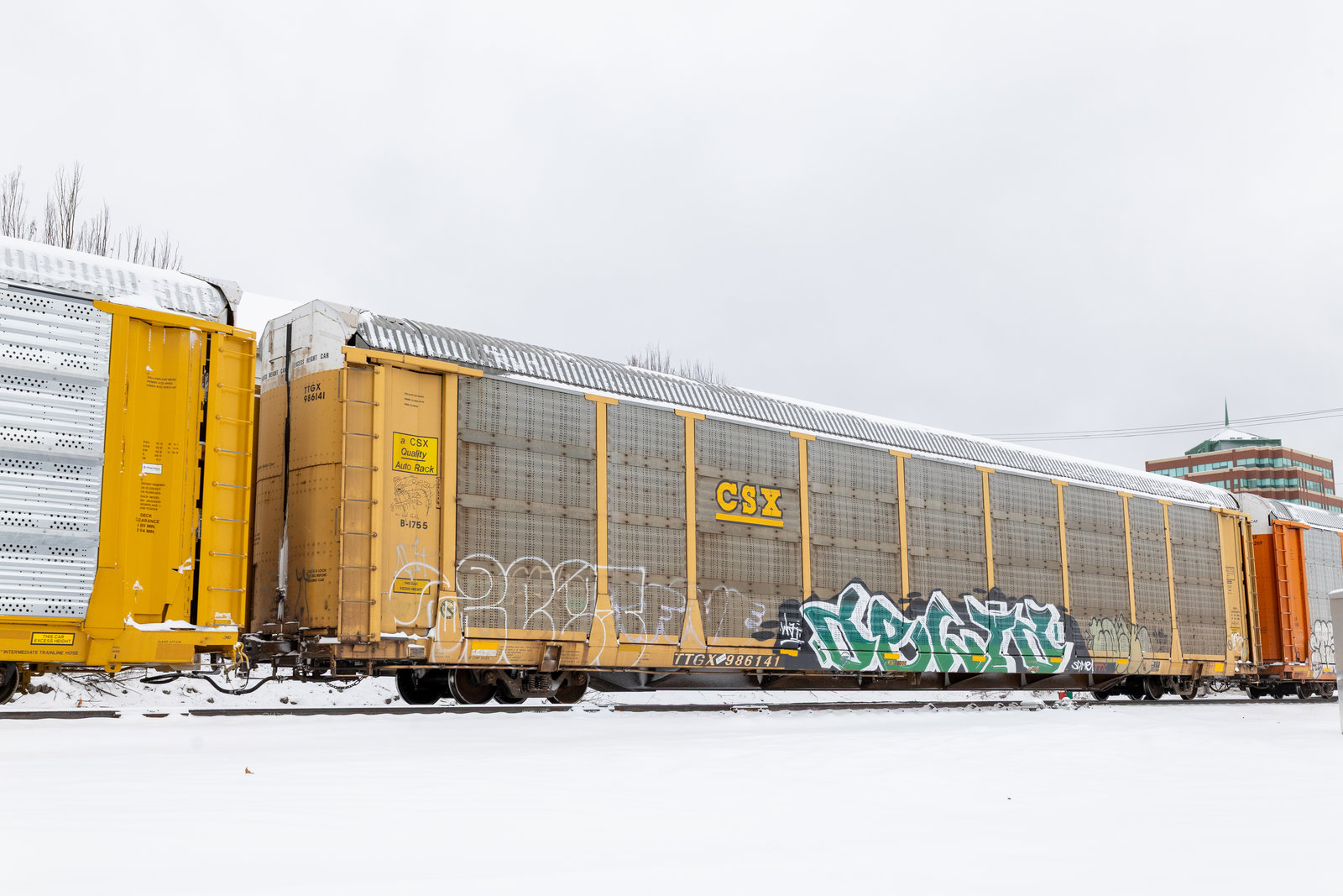 TTGX 986141