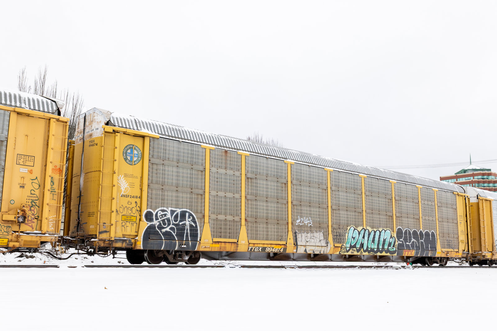 TTGX 994874