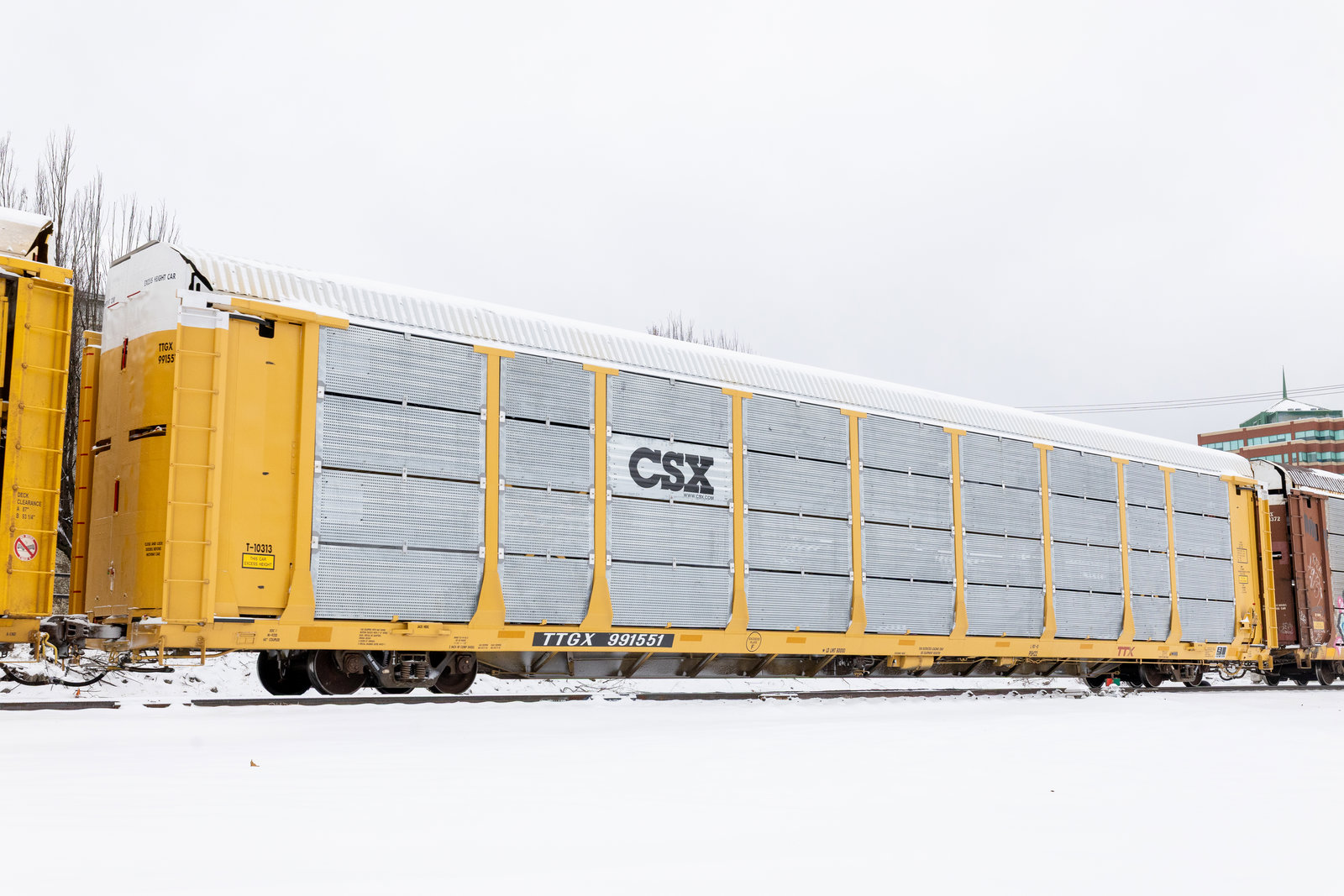 TTGX 991551