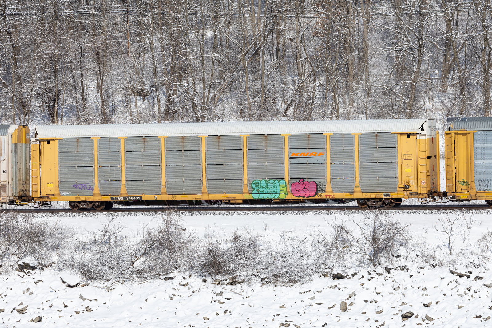 TTGX 940431