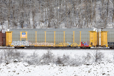 TTGX 986436
