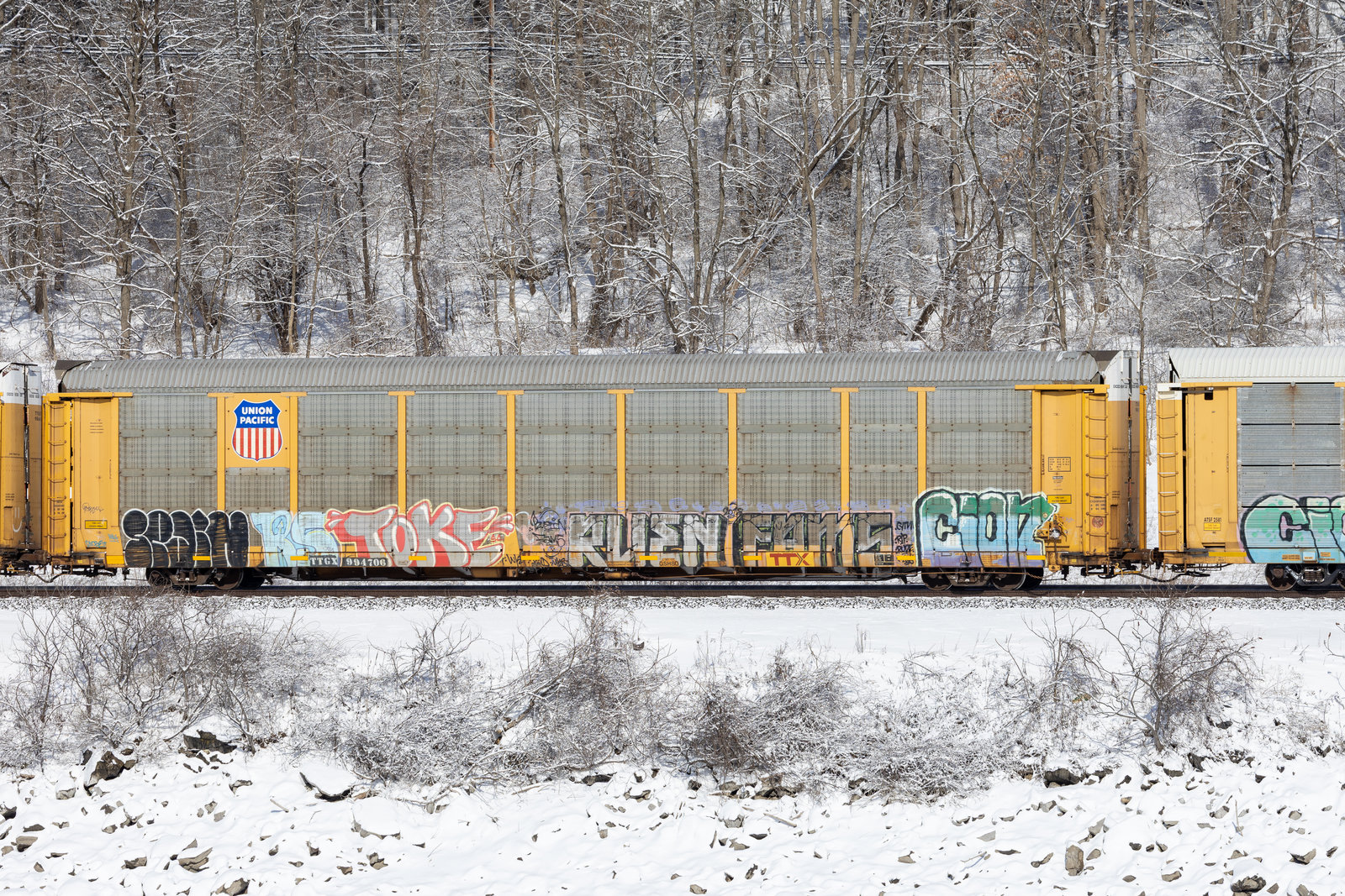 TTGX 994706