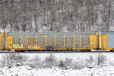 TTGX 979549