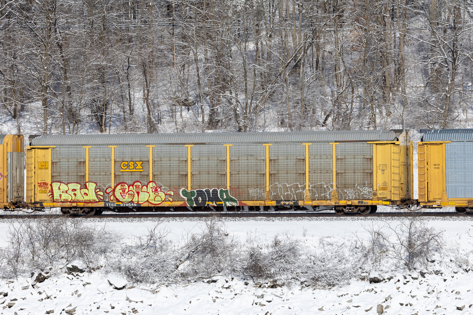 TTGX 979549