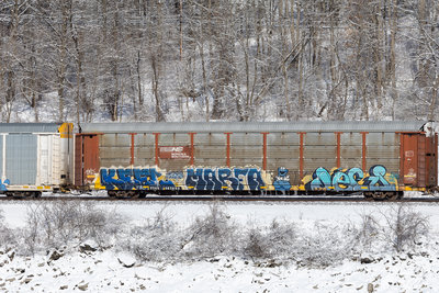 TTGX 982065