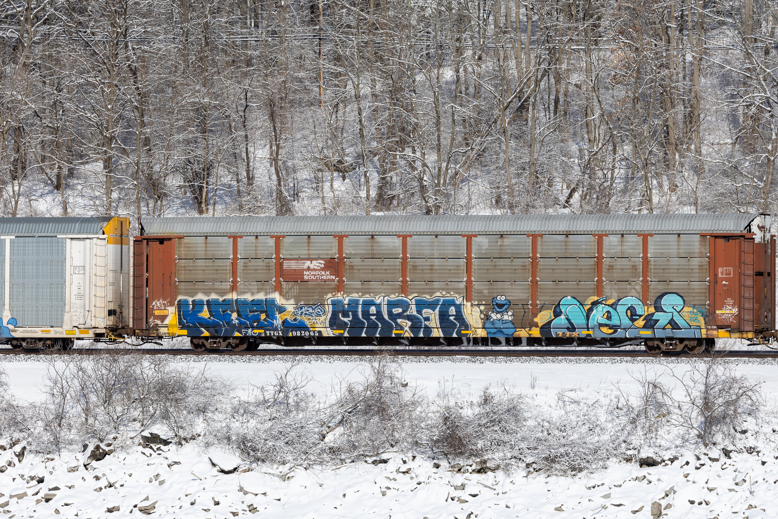 TTGX 982065