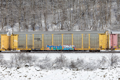 TTGX 983737
