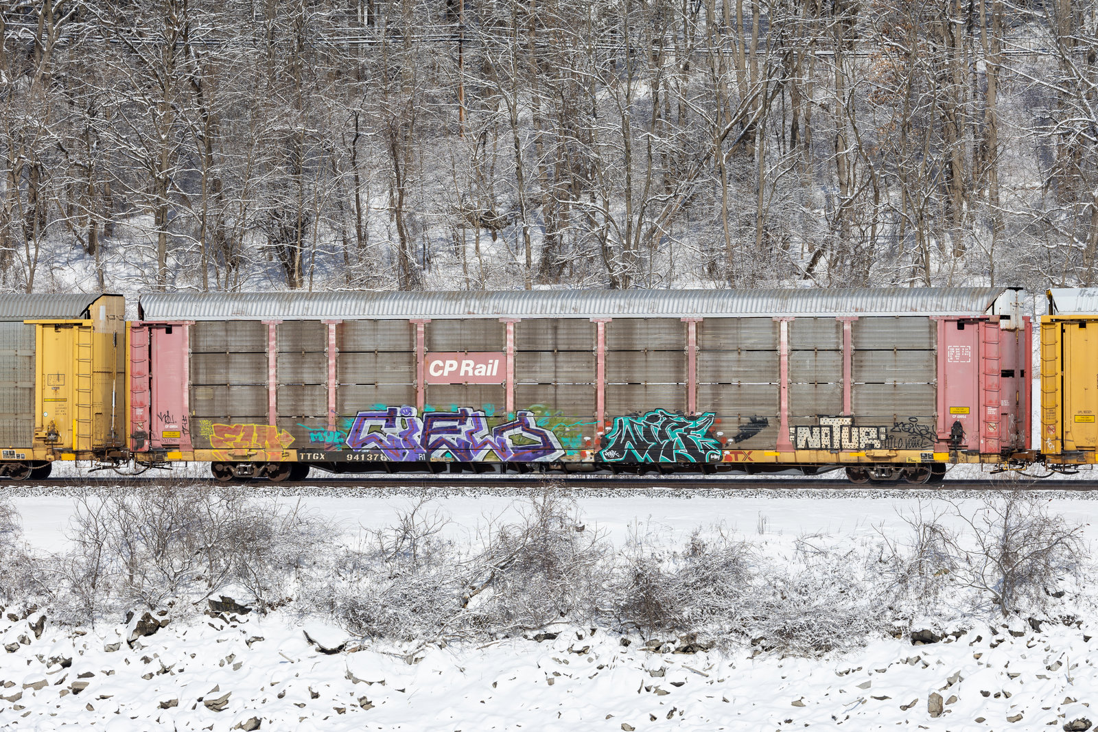 TTGX 941378