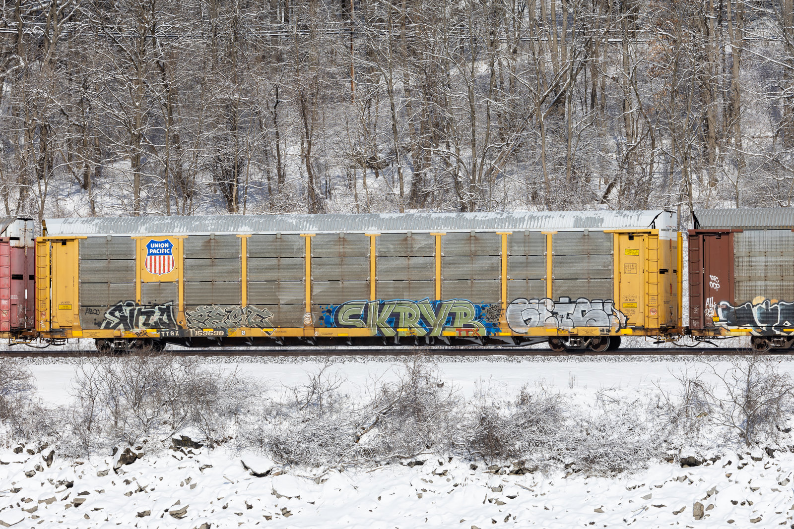 TTGX 159698