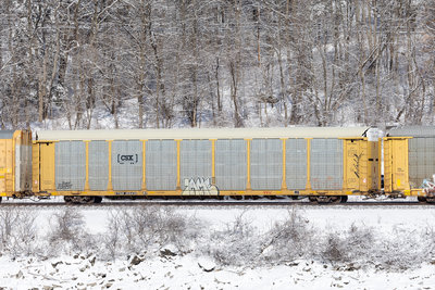 TTGX 255435
