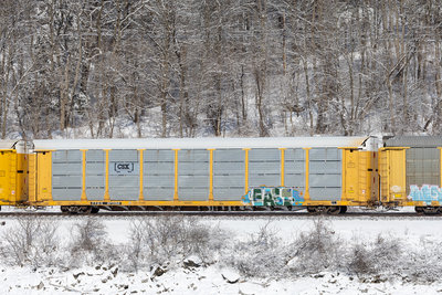 TTGX 971150