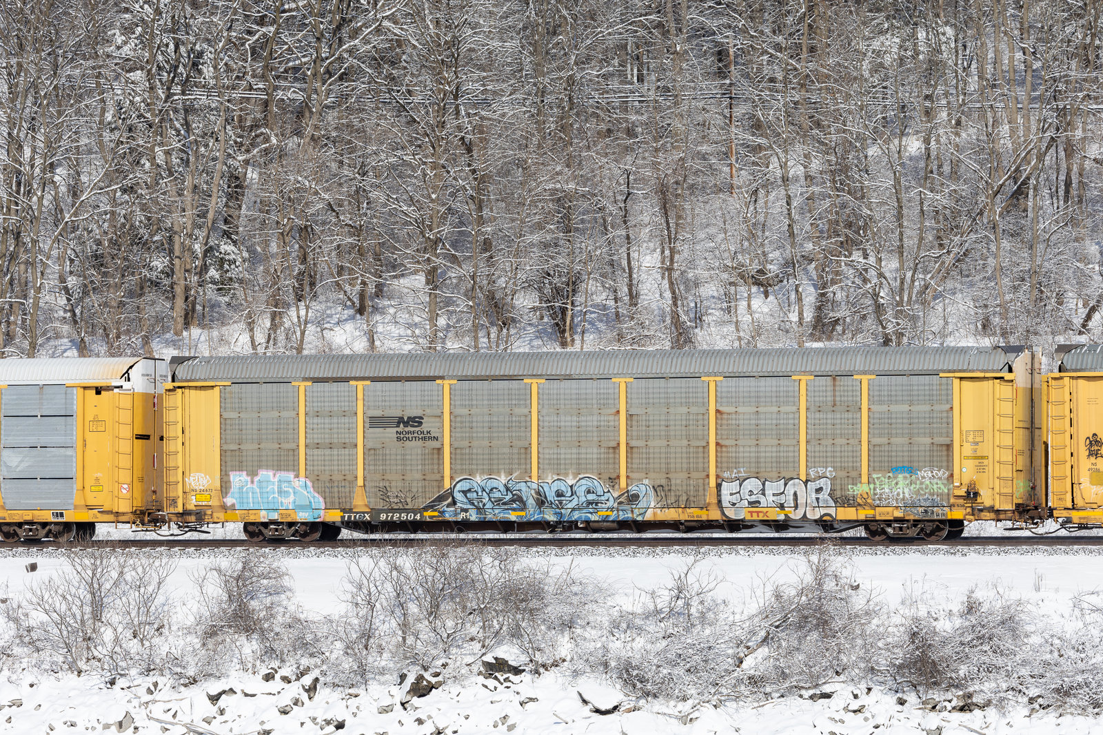 TTGX 972504