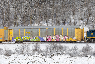 TTGX 988064