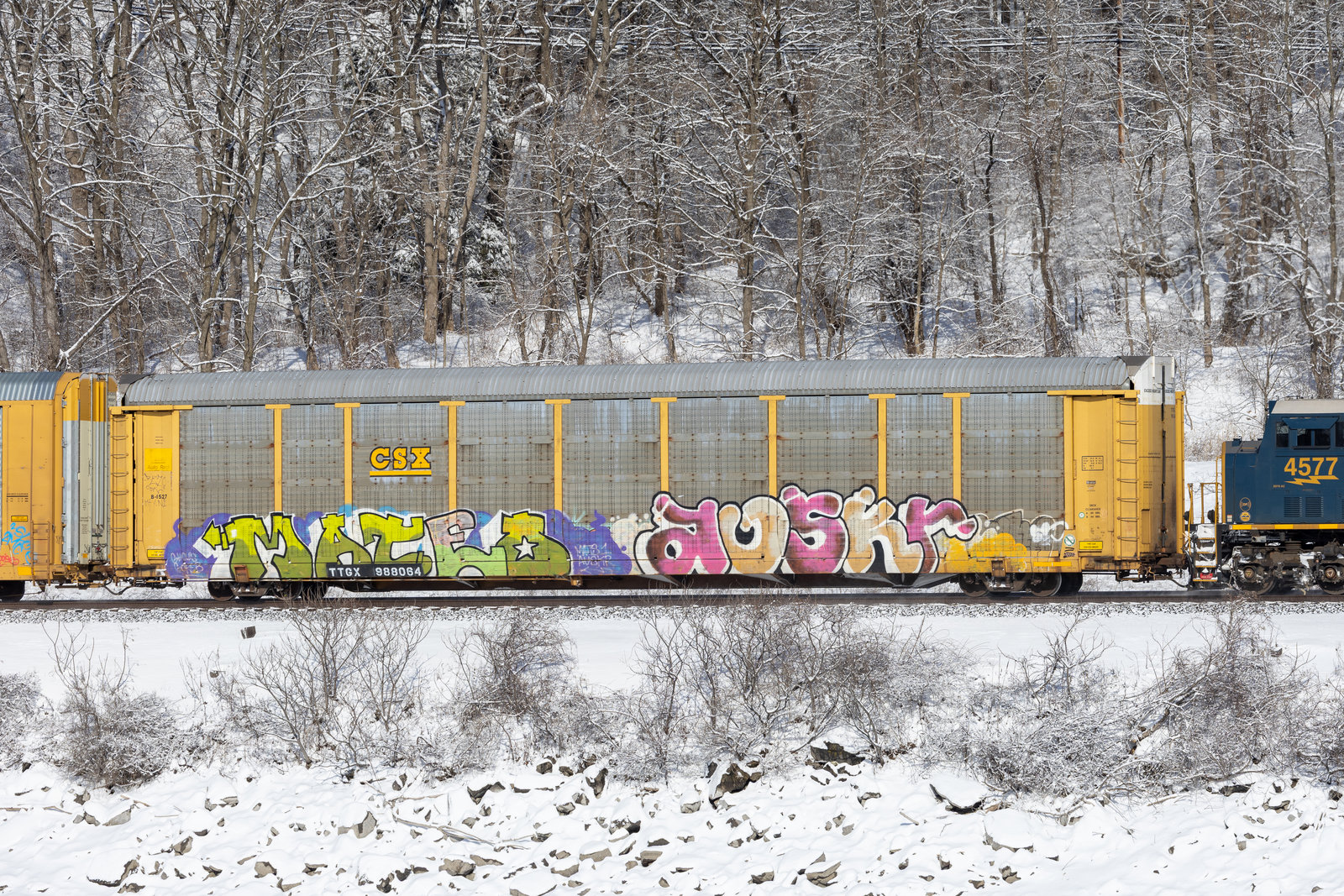 TTGX 988064