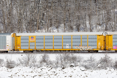 TTGX 979156
