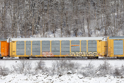 TTGX 156339