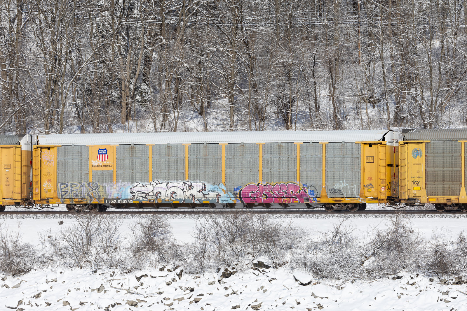TTGX 990549