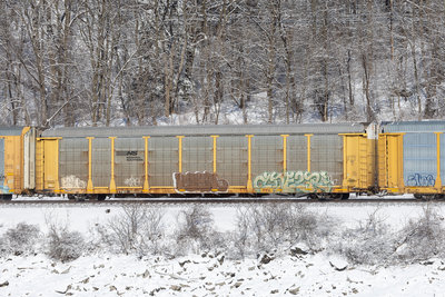 TTGX 994017
