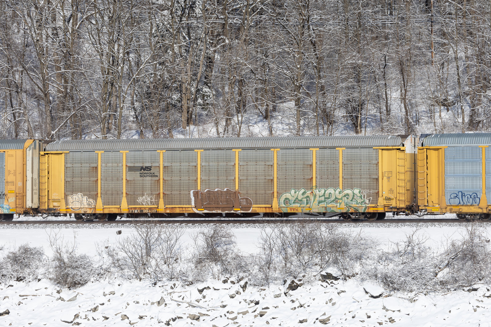 TTGX 994017